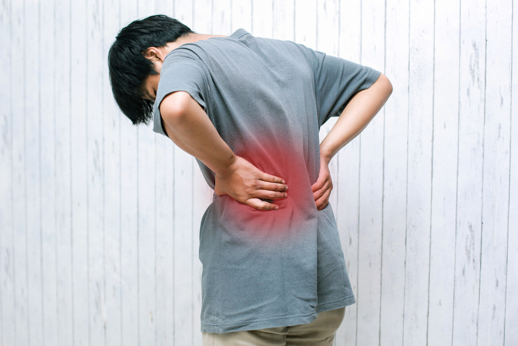 lower back physiotherapy